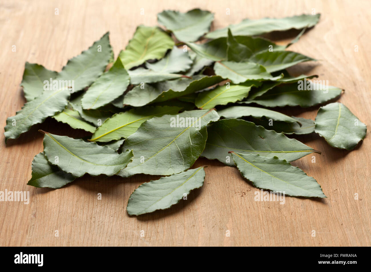 Heap of fresh green bay leaves Stock Photo