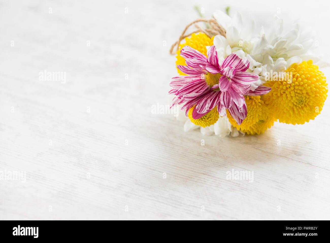 Fresh flowers bouquet on a white wood rustic background and bright sunny light Stock Photo