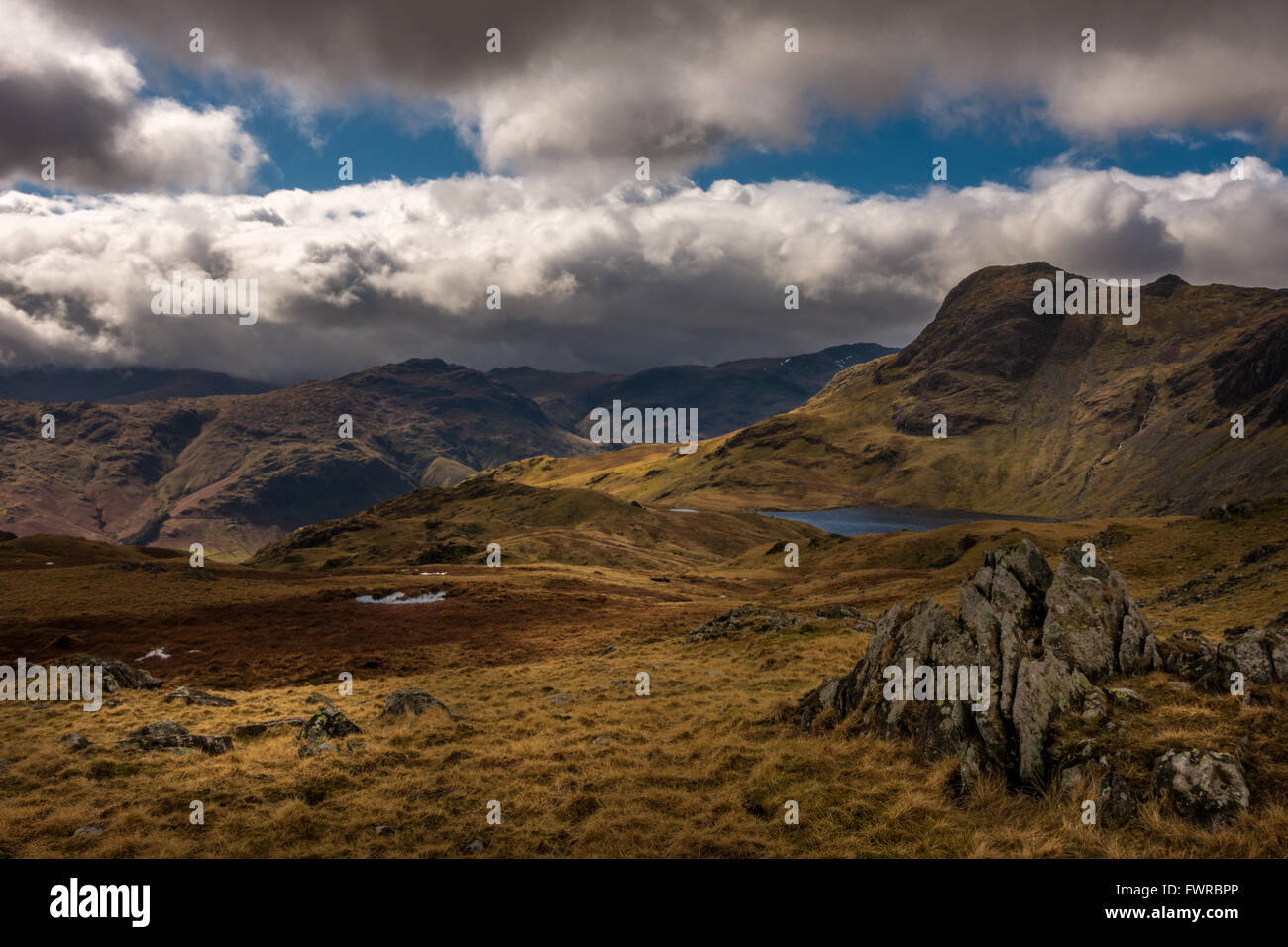 The Langdales from Blea Rigg (including Stickle Tarn and Harrison Stickle), heading up Sergeant's Man, The Lake District, England Stock Photo