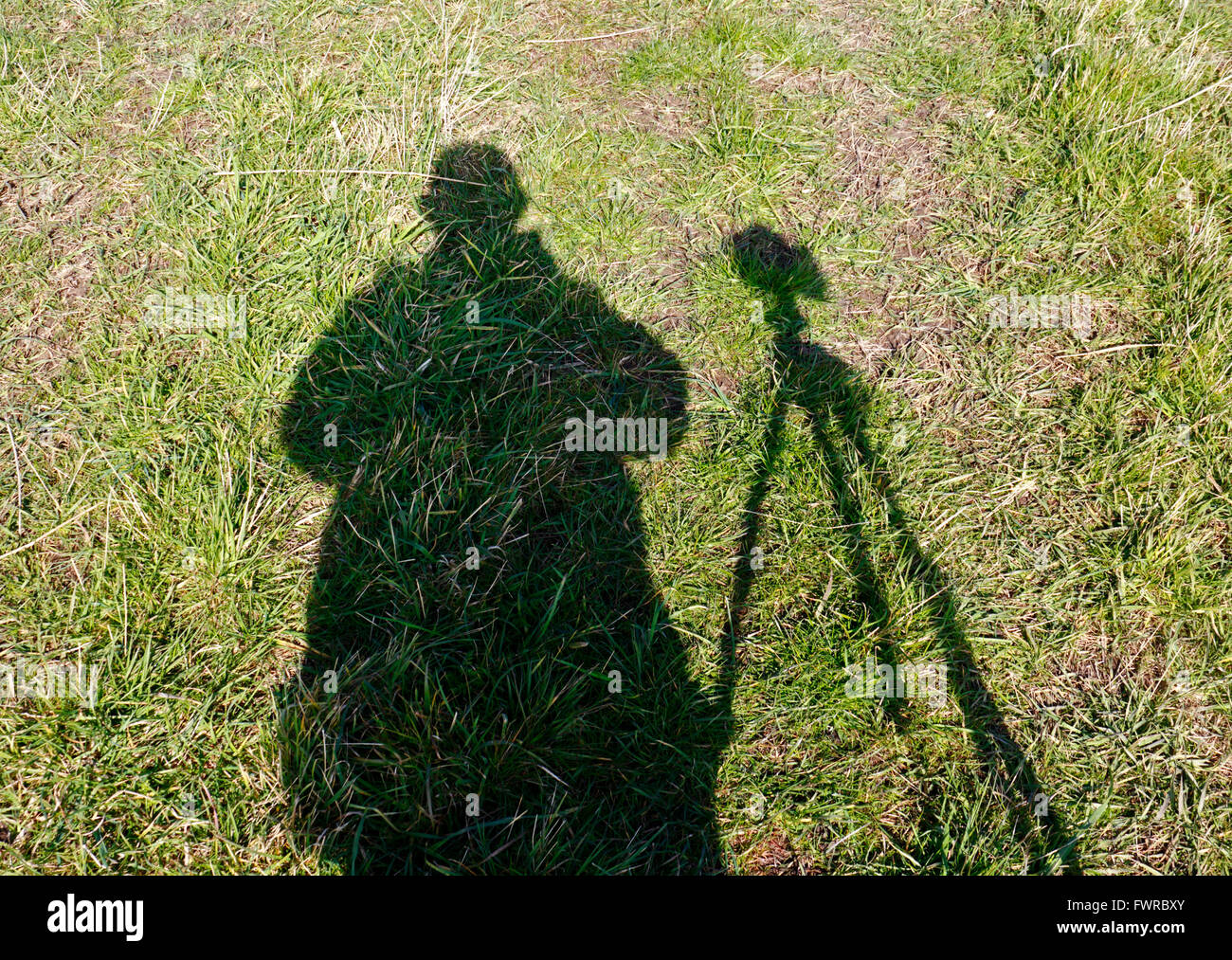 A creative view of a shadow of a photographer with camera on tripod. Stock Photo