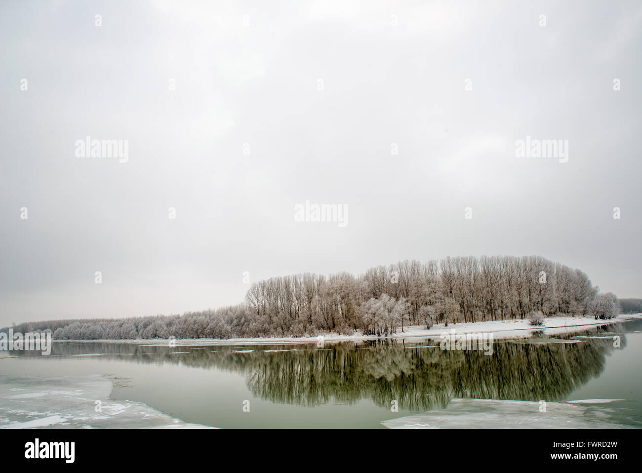 Lake and trees on winter time Stock Photo