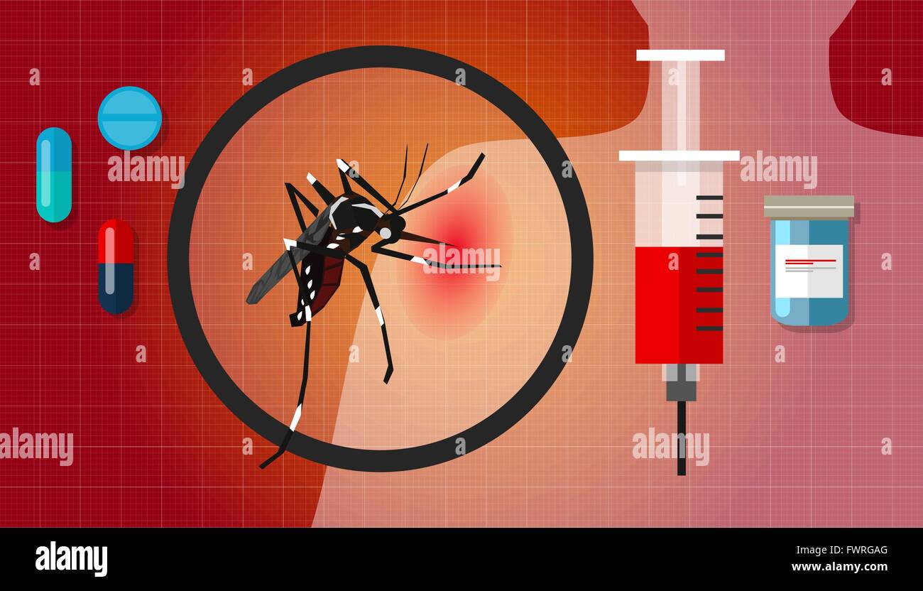 dengue fever chikungunya masquito disease spread Stock Vector