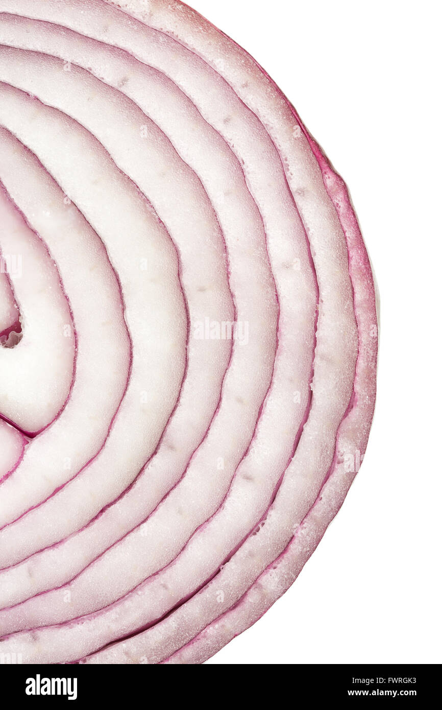 Onion bulb cross section hi-res stock photography and images - Alamy