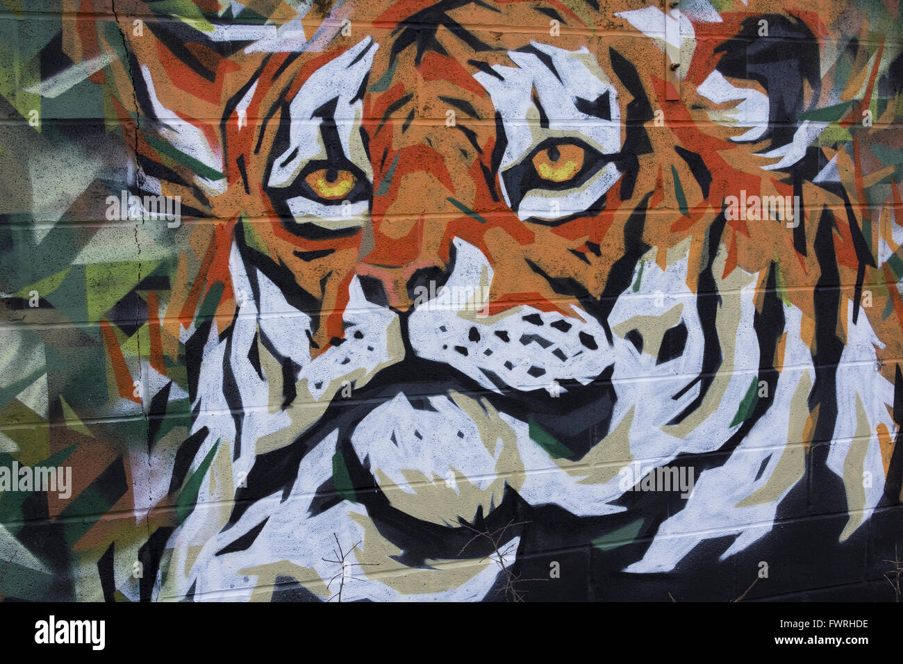Amazing animal murals at the new-look car park at Dudley Zoo created by