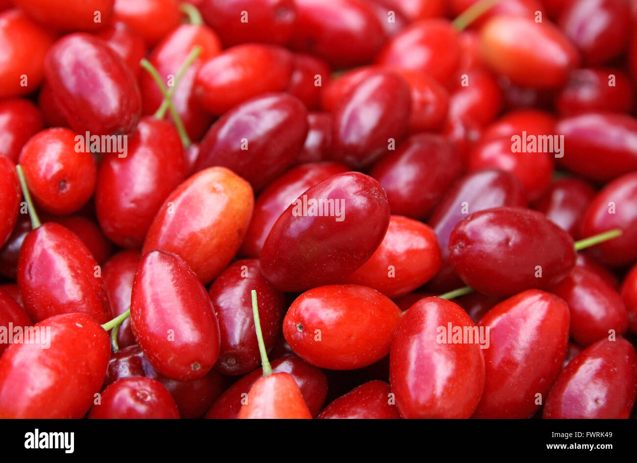 Fresh Cornelian cherries background Stock Photo