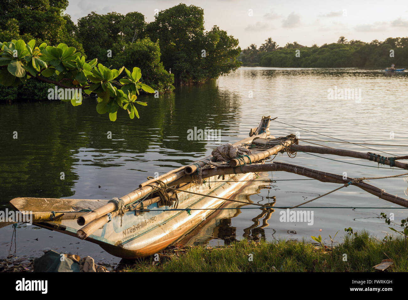 Traditional colorful fishing boats in Negombo harbour, Sri Lanka, Asia Stock Photo