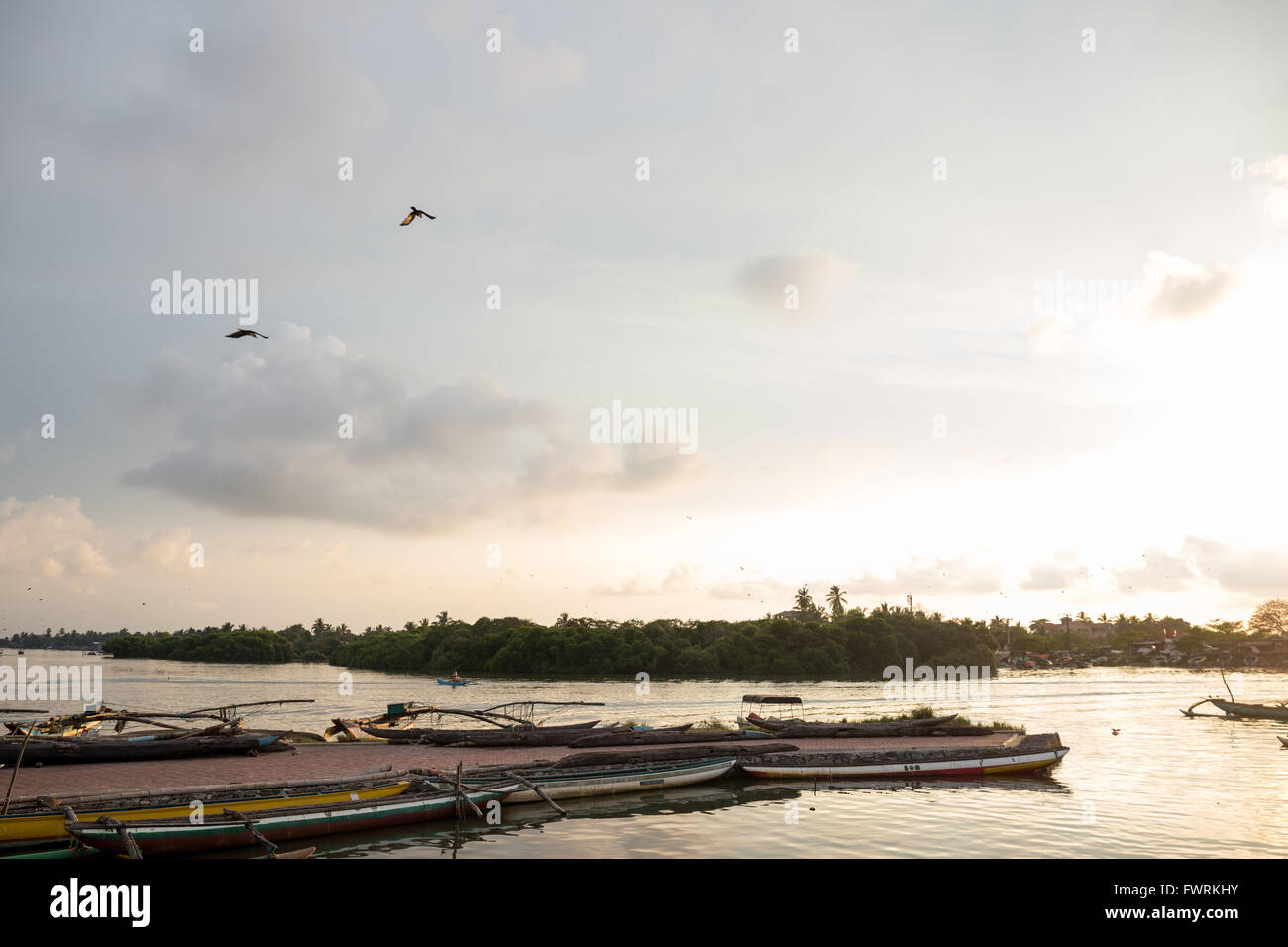 Traditional colorful fishing boats in Negombo harbour, Sri Lanka, Asia Stock Photo