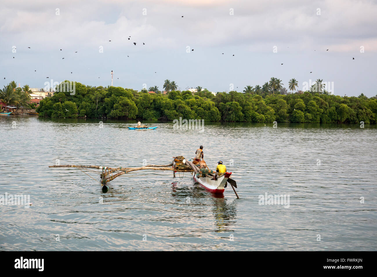 Traditional colorful fishing boats in Negombo harbour, Sri Lanka, Asia Stock Photo