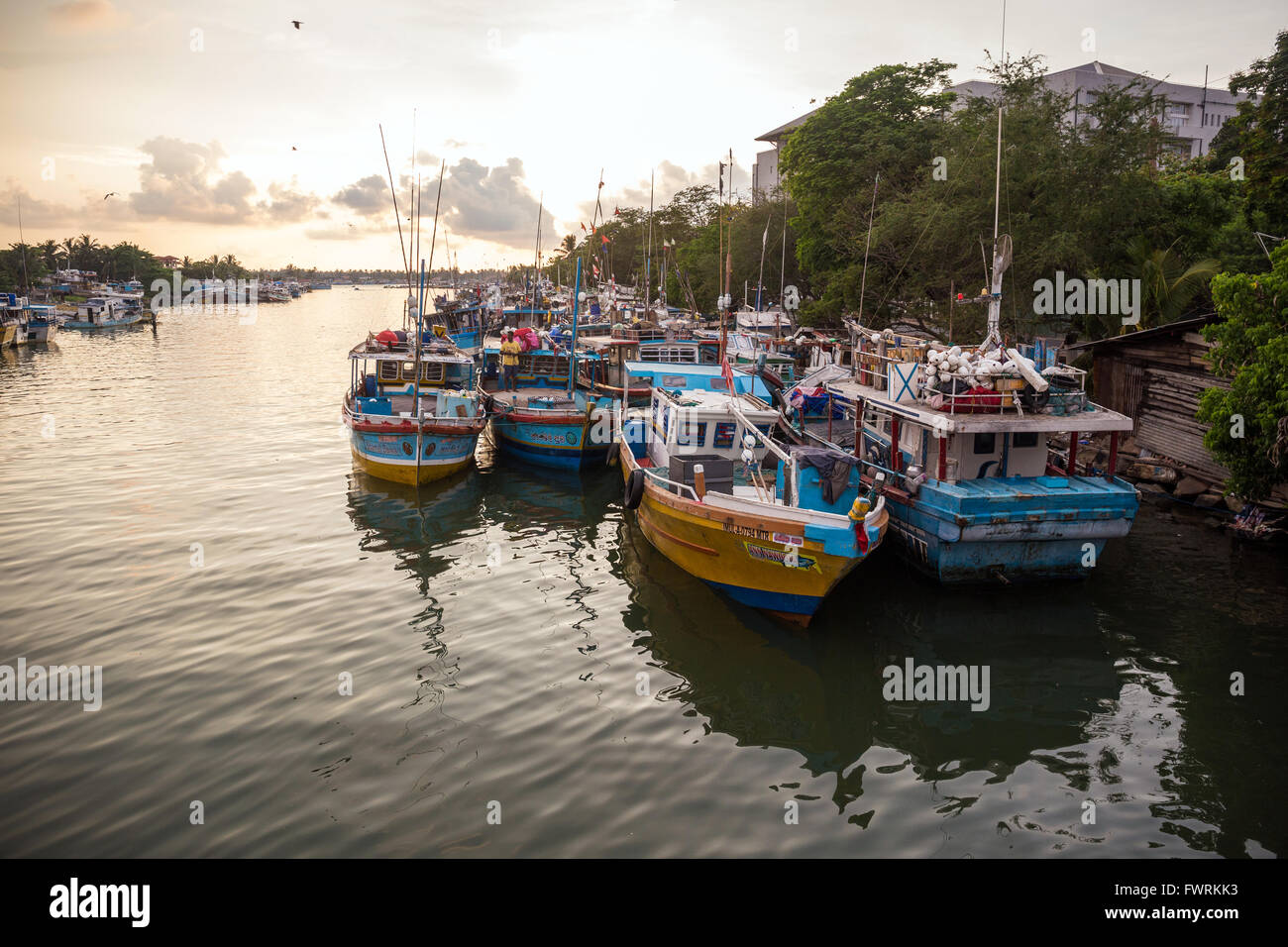 Traditional colorful fishing boats in Negombo harbour, Sri Lanka, Asia Stock Photo