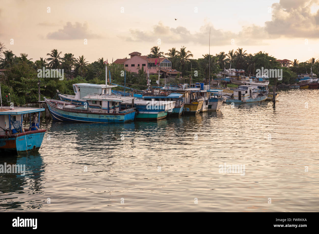 Traditional colorful fishing boats in Negombo harbour, Sri Lanka, Asia Stock Photo