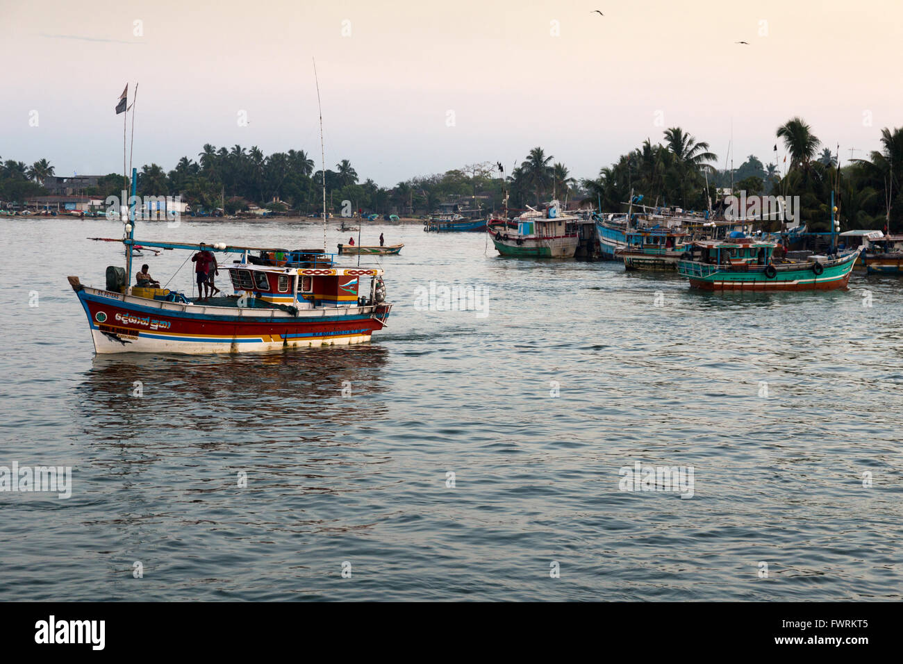 Traditional colorful fishing boats in Negombo harbour, Sri Lanka, Asia Stock Photo