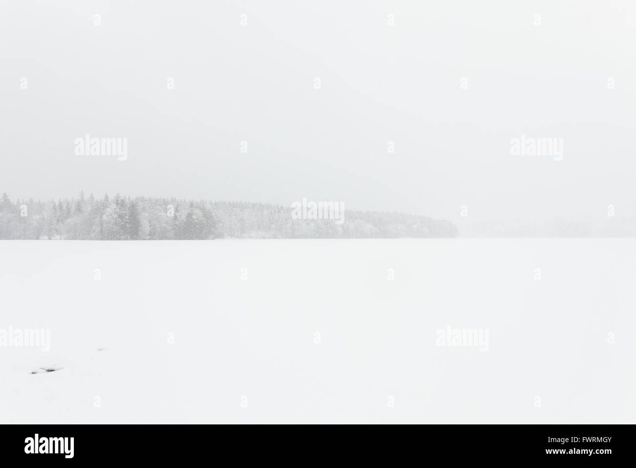 Blizzard winter landscape at frozen lake Stock Photo - Alamy