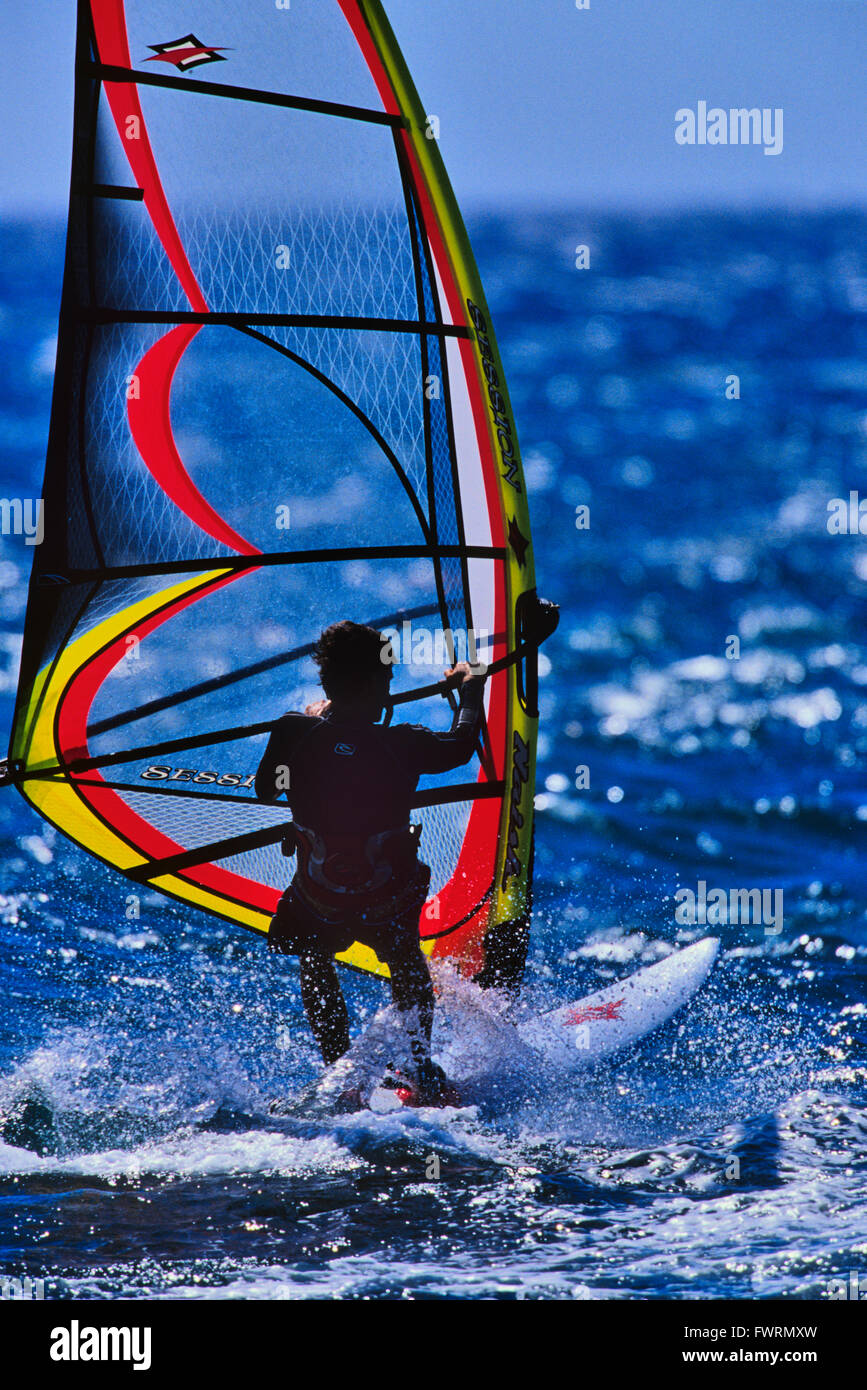 Windsurfing in Maui Stock Photo Alamy