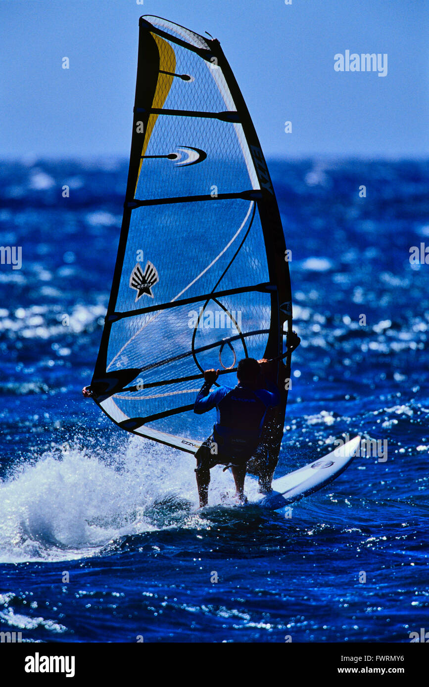 Windsurfing in Maui Stock Photo Alamy