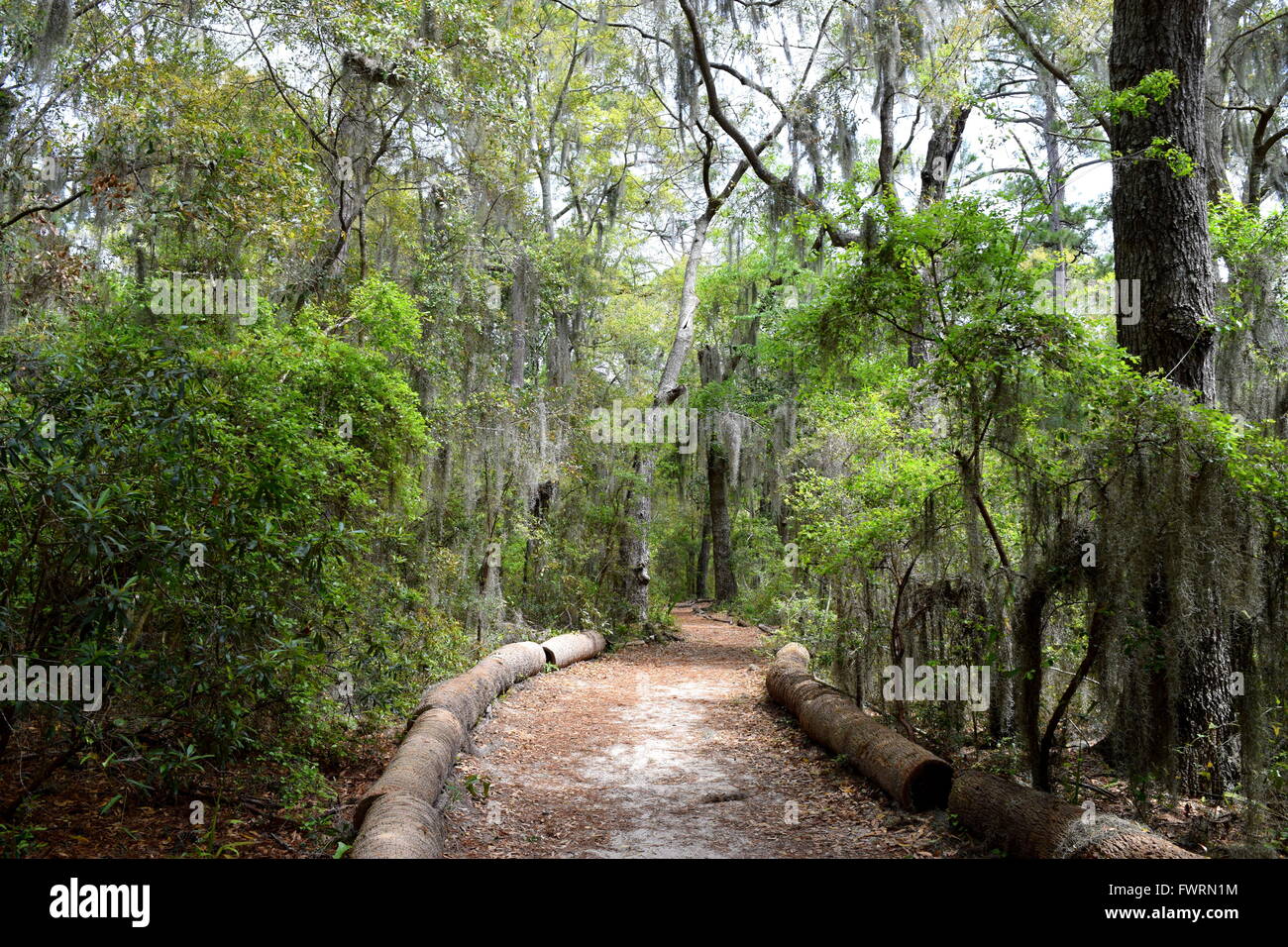 Oatland Island Wildlife Center, Savannah, United States Stock