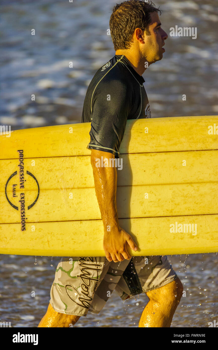 male carrying surfboard walking on beach Hawaii Stock Photo Alamy