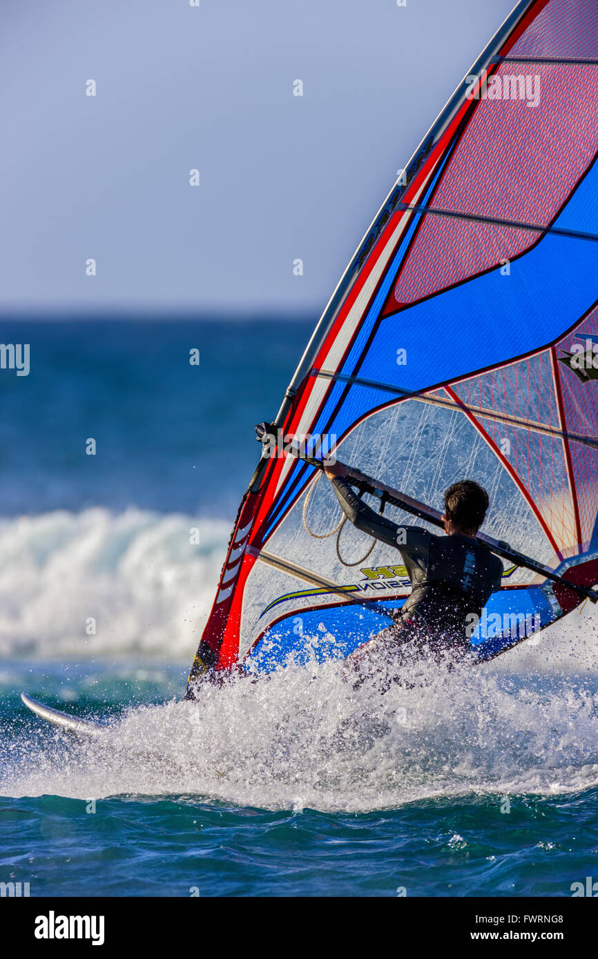 Windsurfing in Maui Stock Photo Alamy