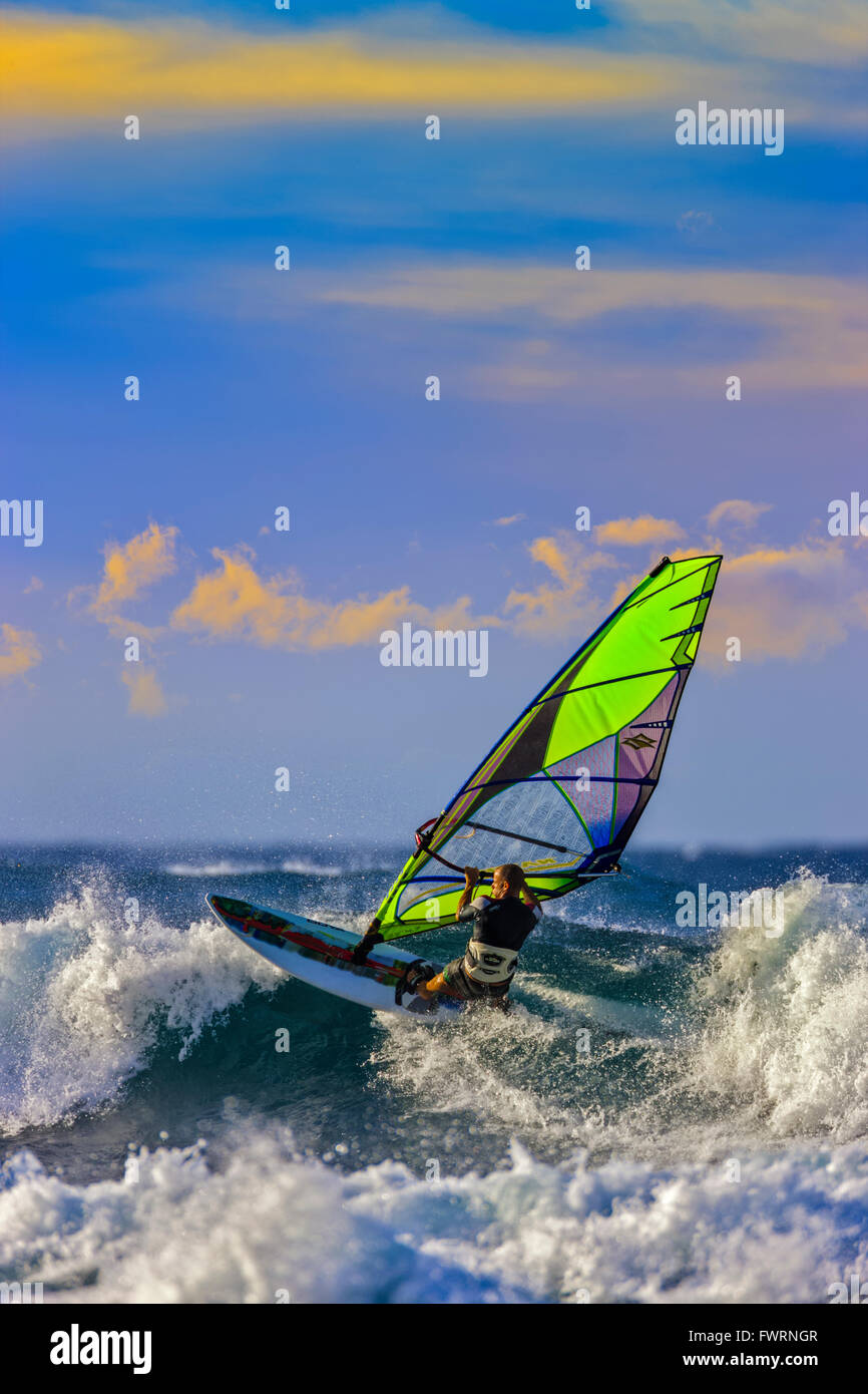 Windsurfing in Maui Stock Photo Alamy