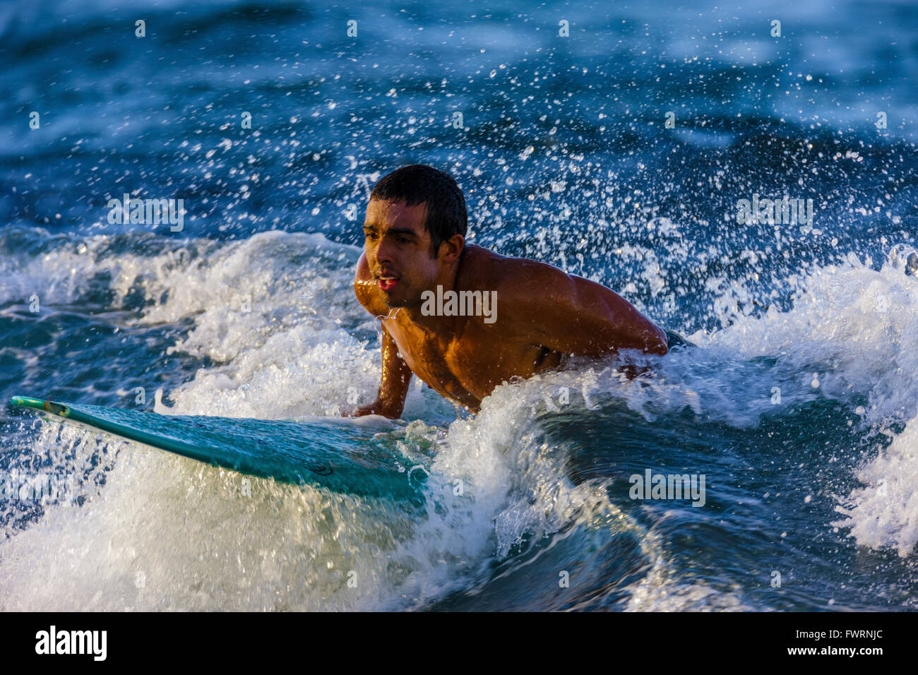 Bodyboarding in Maui Stock Photo Alamy