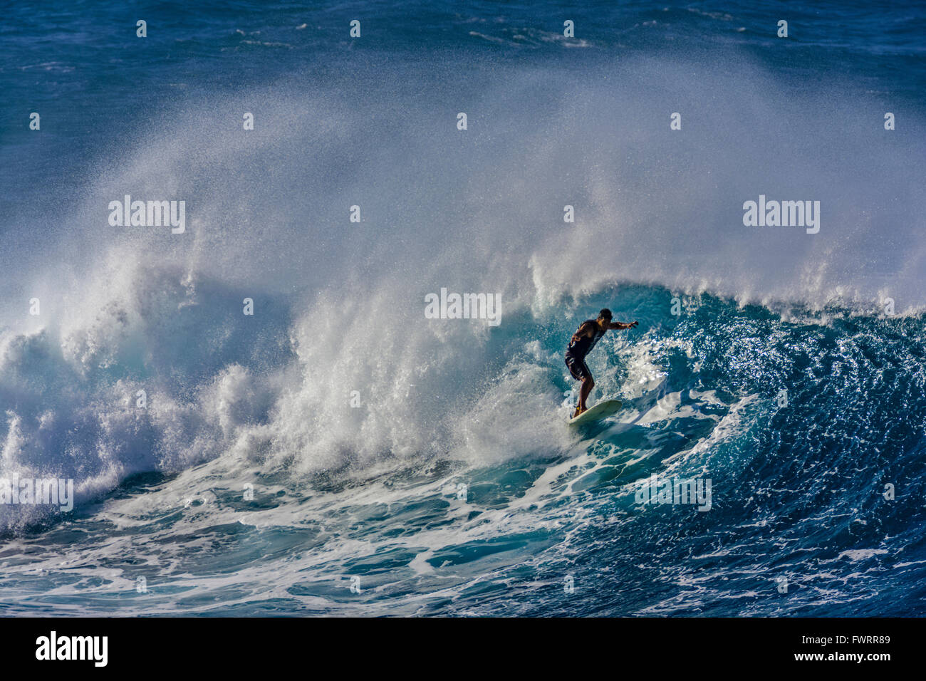 Surfing in Maui Stock Photo Alamy