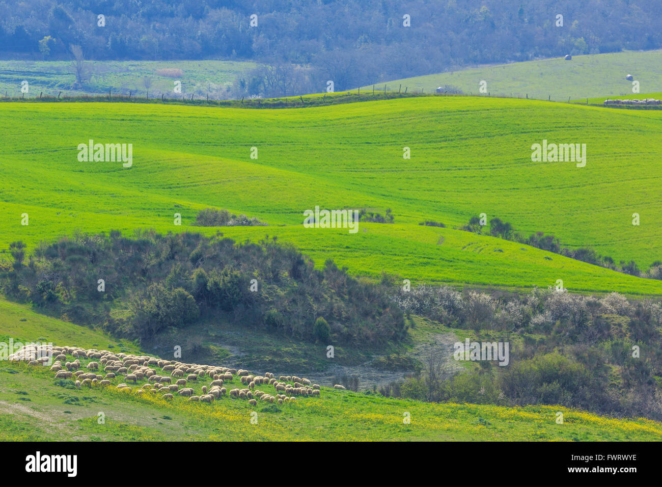 Rolling hills countryside hi-res stock photography and images - Alamy