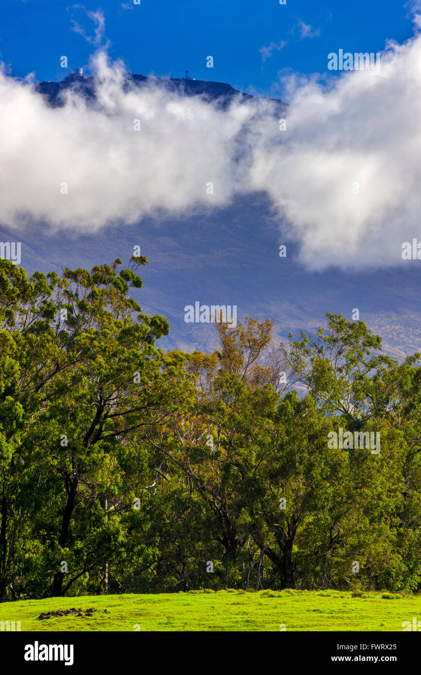 Upcountry maui hawaii usa ranch hi-res stock photography and images - Alamy