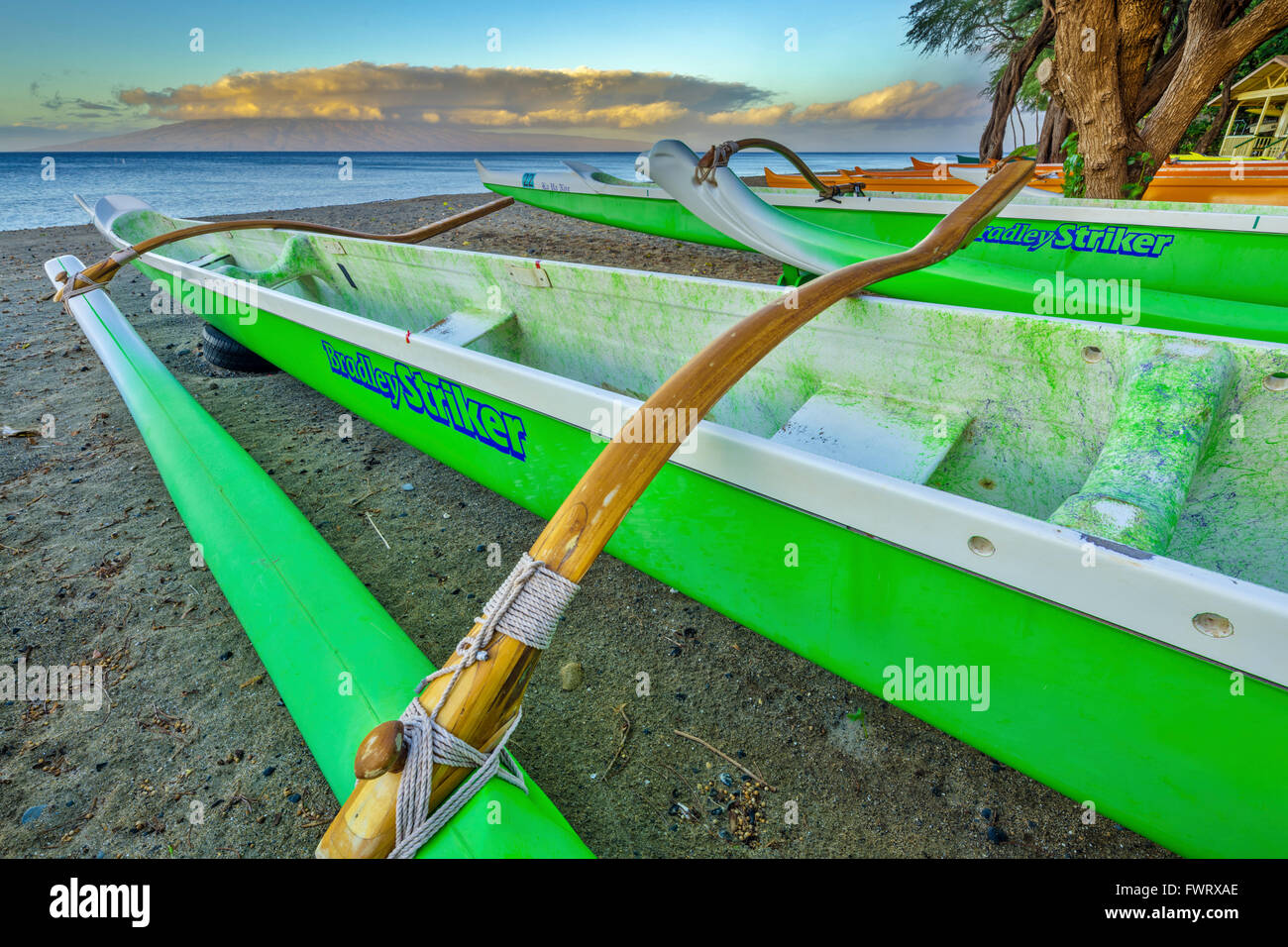 outrigger canoe; Maui Stock Photo