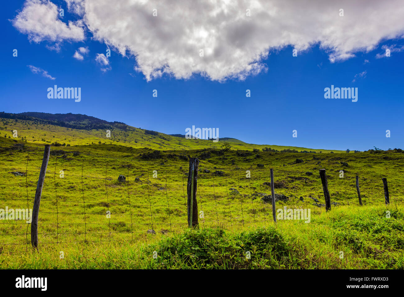Upcountry maui hawaii usa ranch hi-res stock photography and images - Alamy