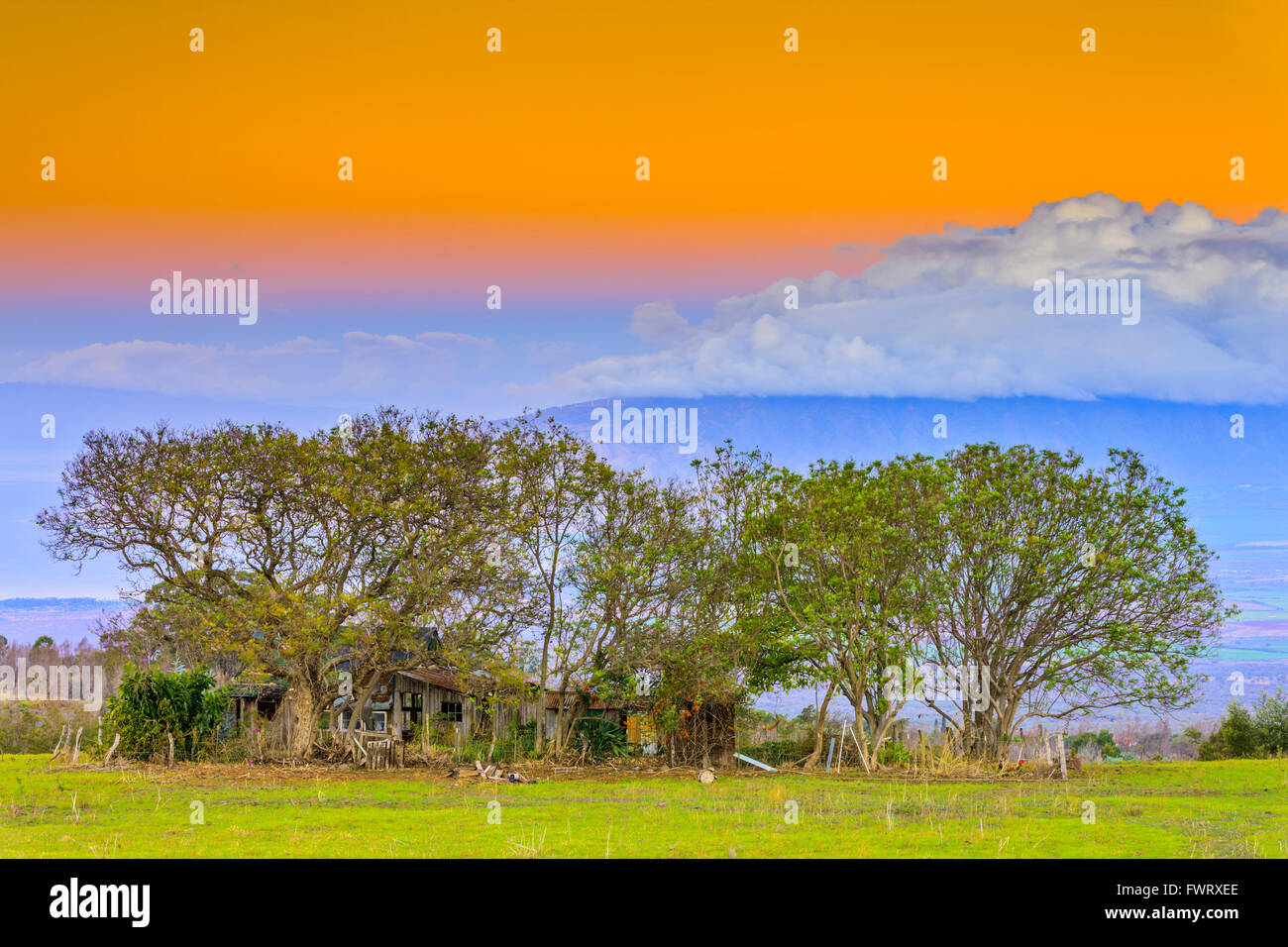 abandon shack upcountry, Maui Stock Photo