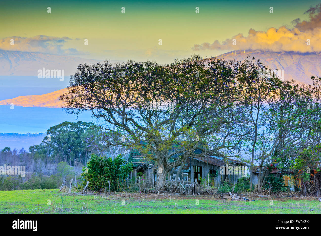 abandoned shack upcountry, Maui Stock Photo