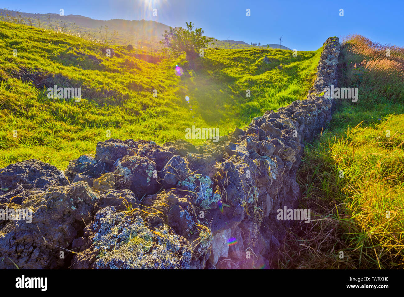 stone fence and pasture, upcountry, Maui Stock Photo