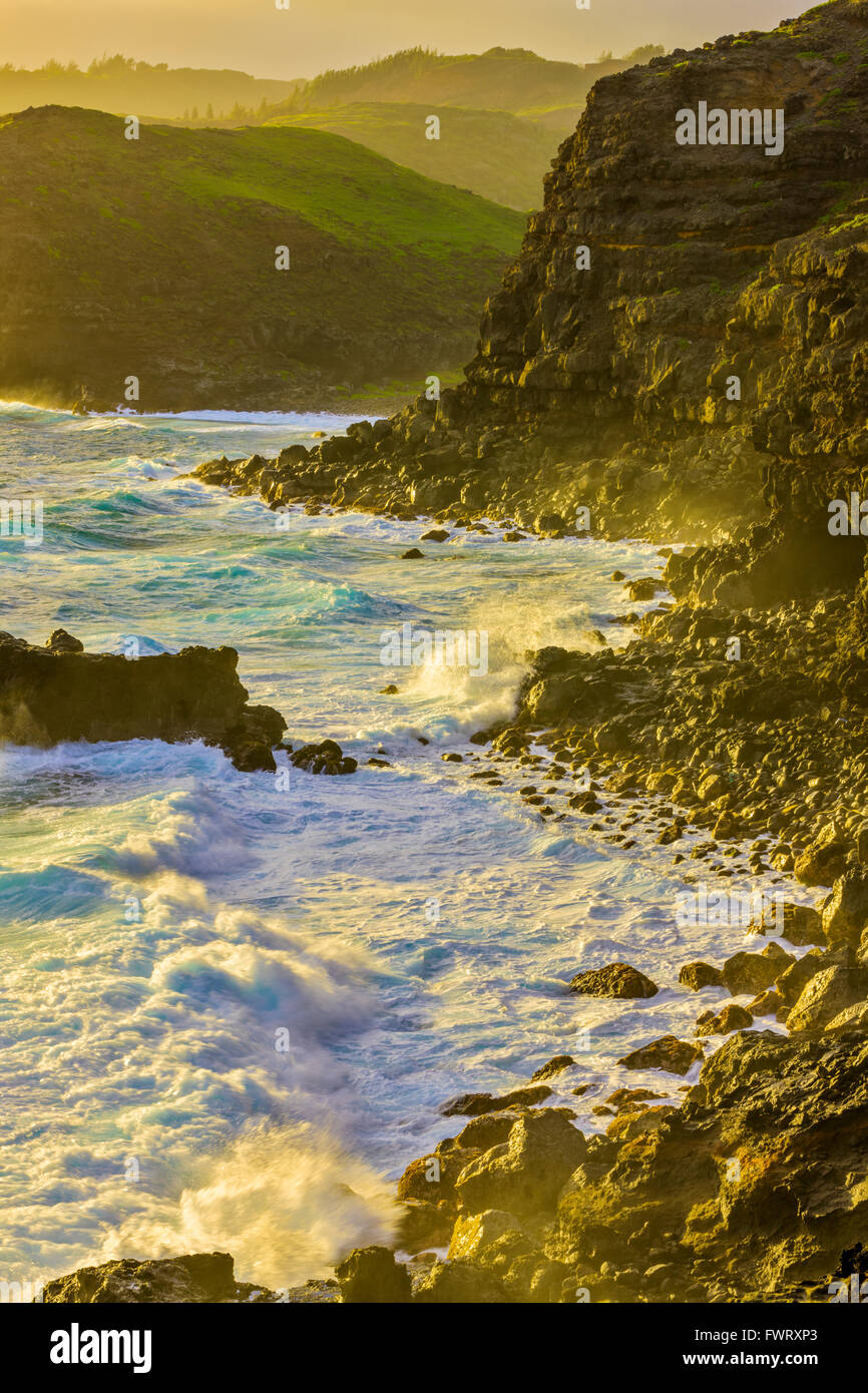 surf pounding shore Poelua bay, Maui Stock Photo: 101944139 - Alamy