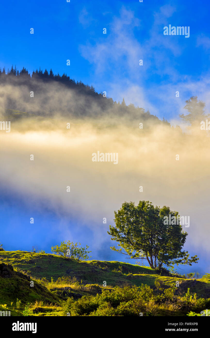 Maui hills hires stock photography and images Alamy