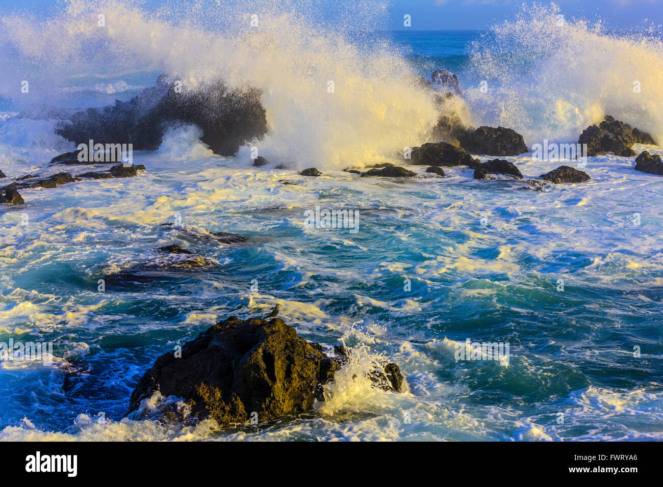 Ho'okipa Beach, Maui Stock Photo