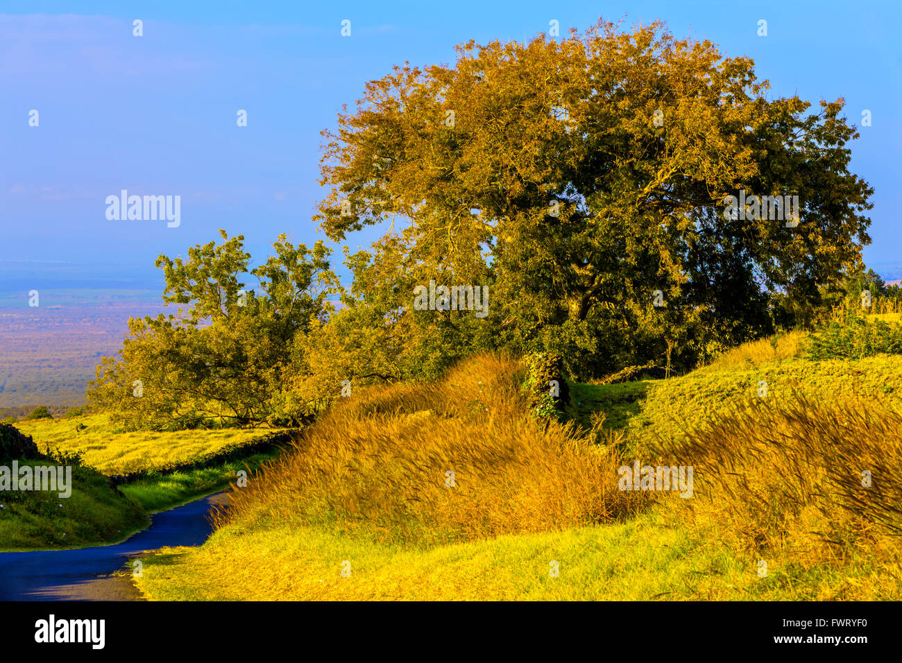 Upcountry, Maui Stock Photo