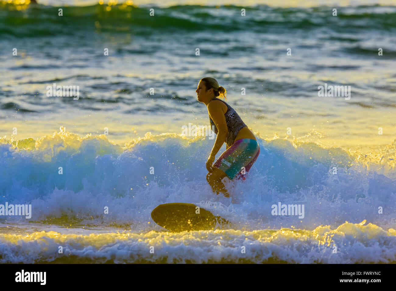 Surfing in Maui Stock Photo Alamy
