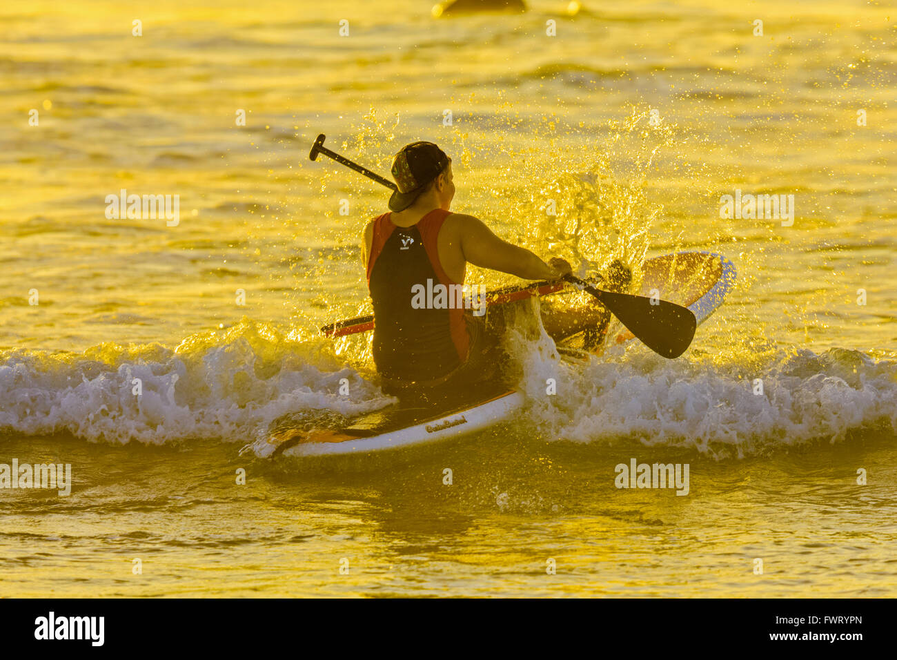 Stand up paddle surfing Maui Hawaii Stock Photo Alamy