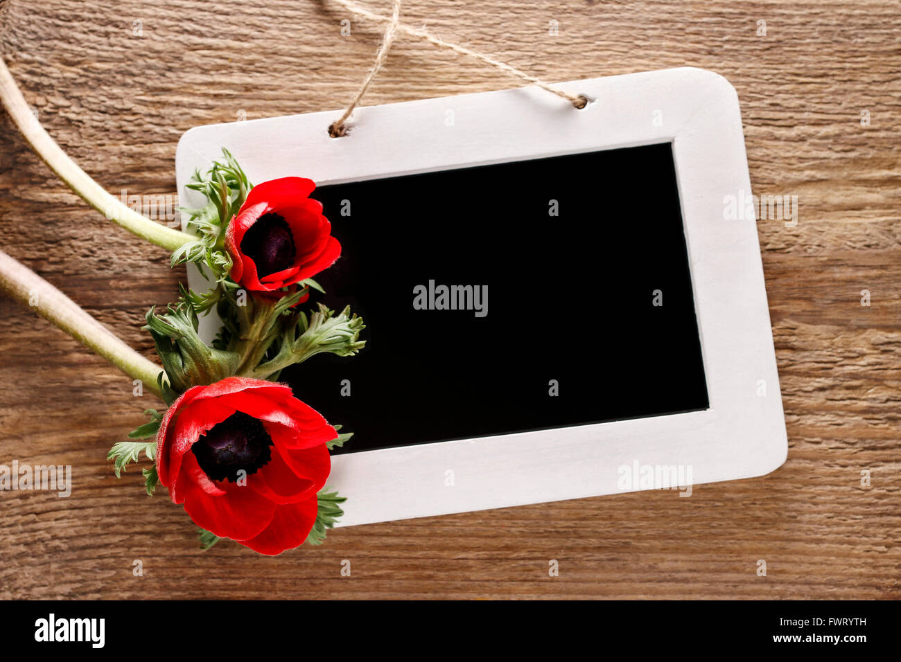 Anemone flowers and blackboard, springtime background, copy space Stock Photo