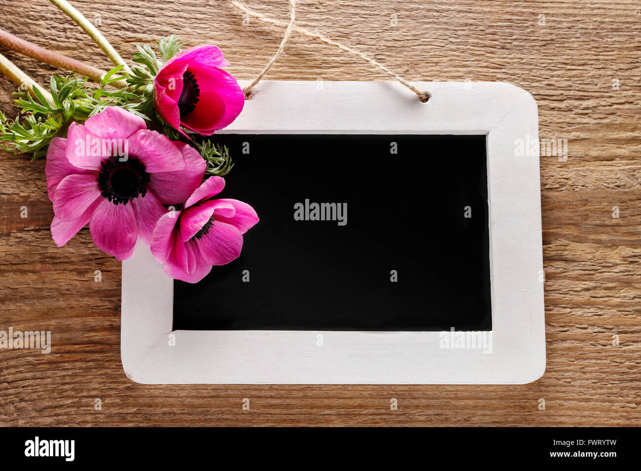 Anemone flower and blackboard, springtime background, copy space Stock Photo