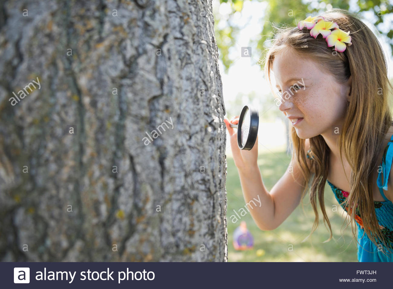 Little girl looking at tree bark through magnifying glass Stock Photo