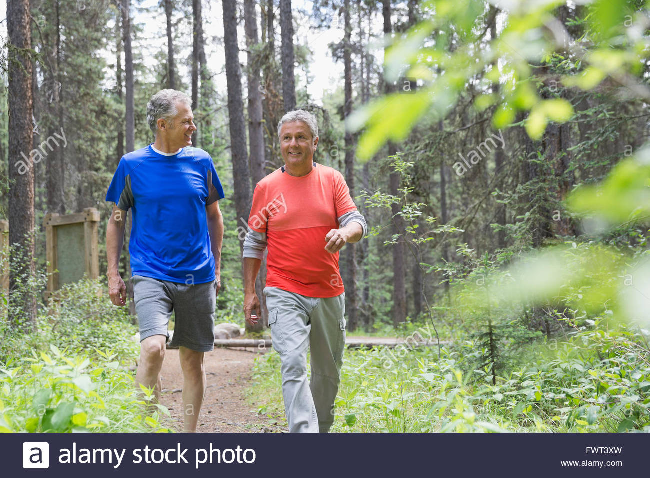 Middle-aged men walking in forest Stock Photo