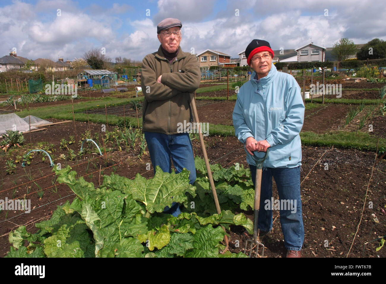 Pensioner uk at work hires stock photography and images Alamy