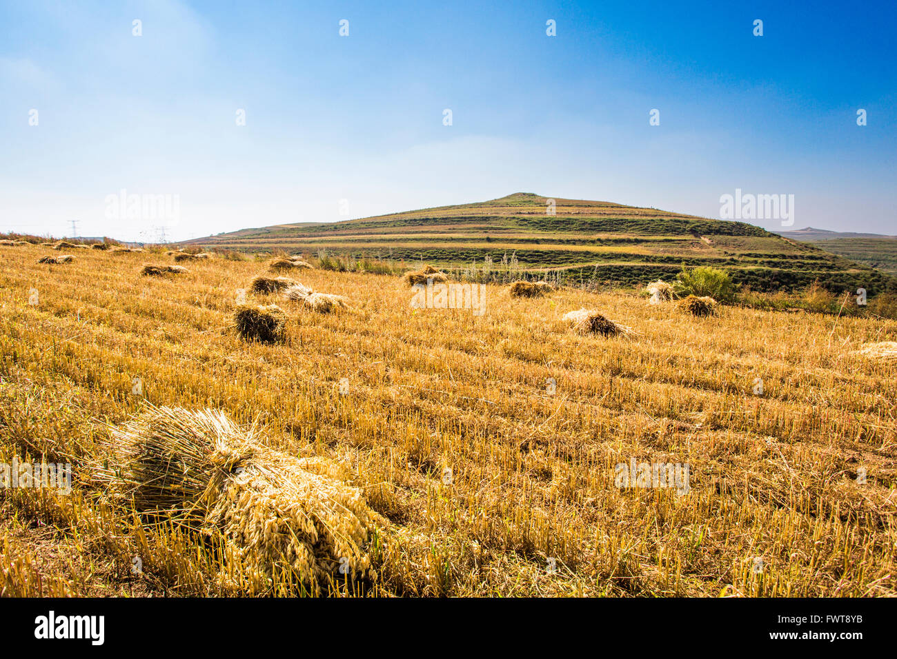 Grassland scenery in Hebei province, China Stock Photo