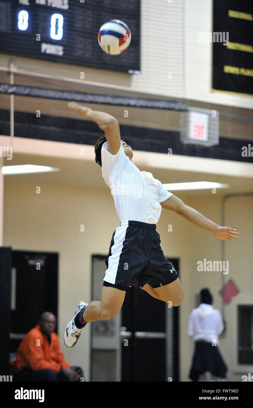 Player delivering a power serve during a high school volleyball match. USA. Stock Photo