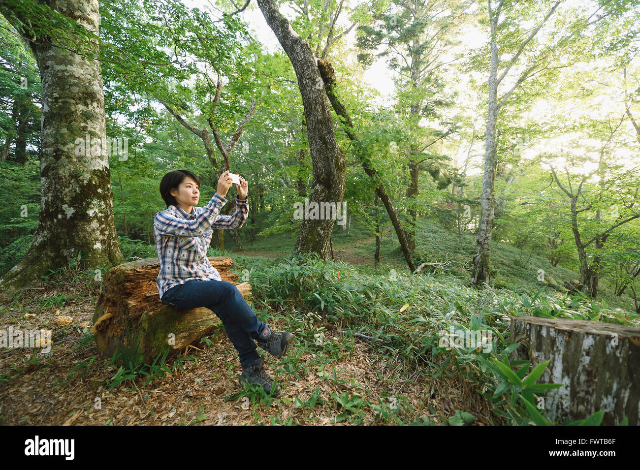 Young Japanese woman taking pictures at a camp site Stock Photo