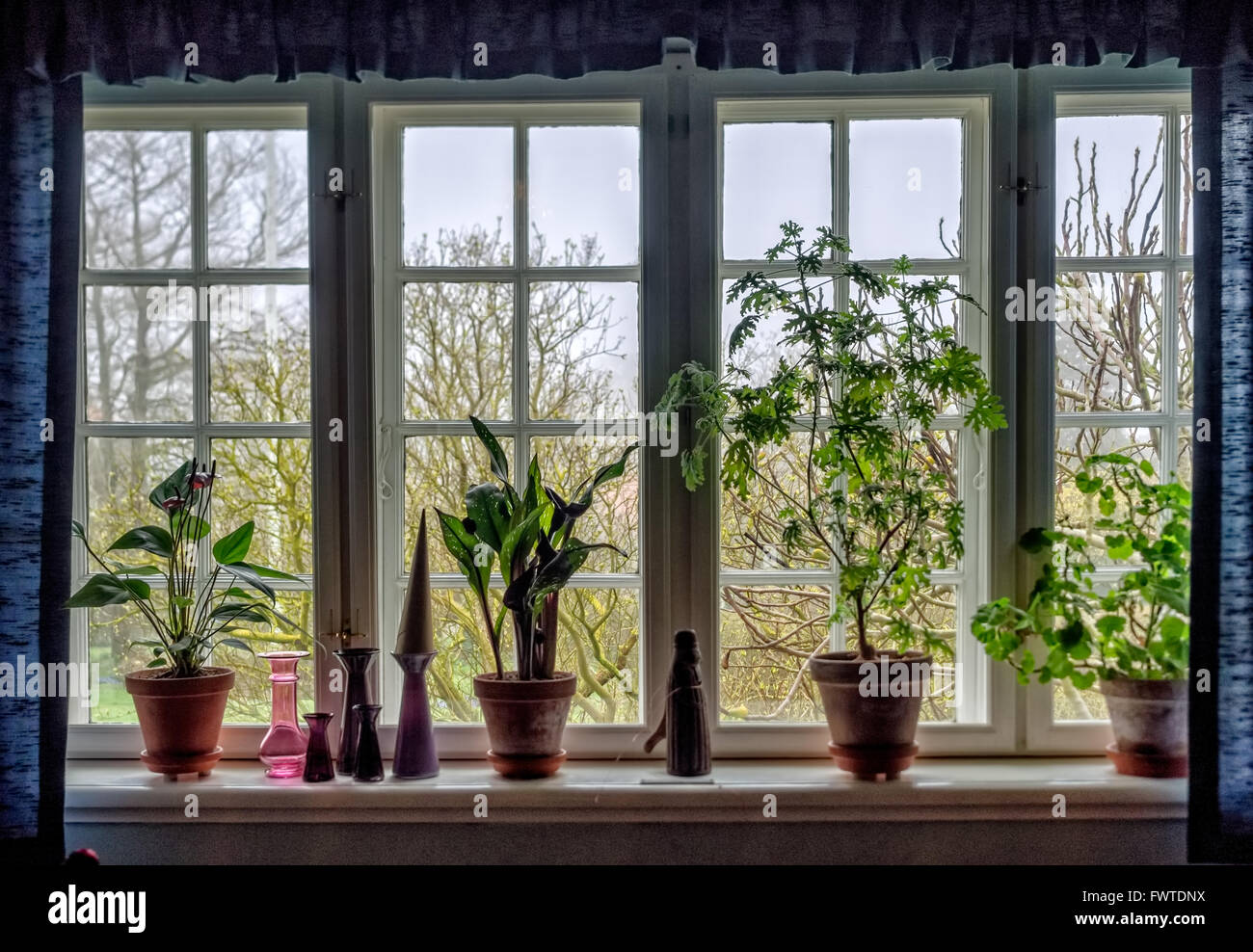 Window sill with flowers in pots Stock Photo