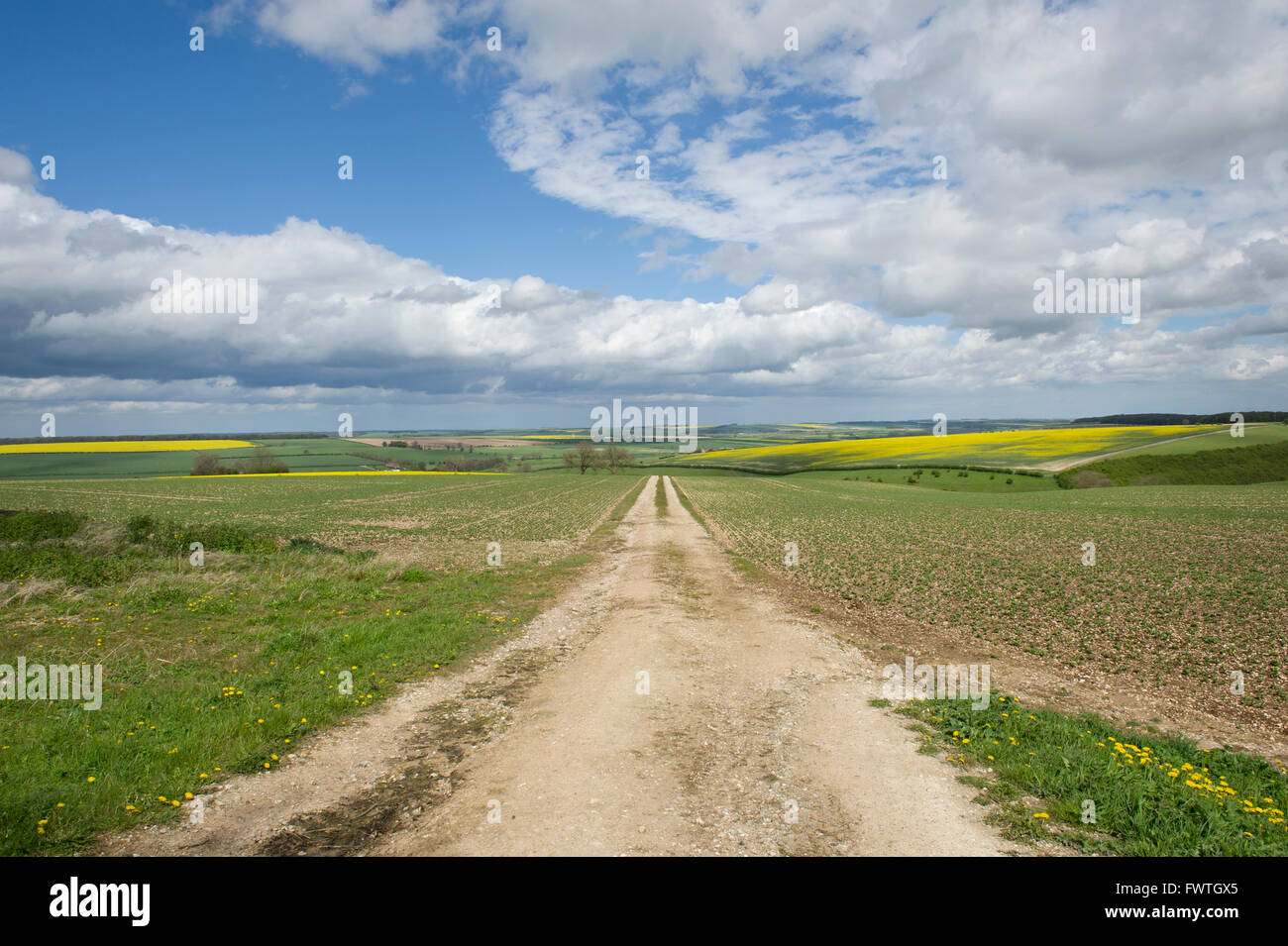 A view looking over the countryside of the Yorkshire Wolds in East Yorkshire Stock Photo