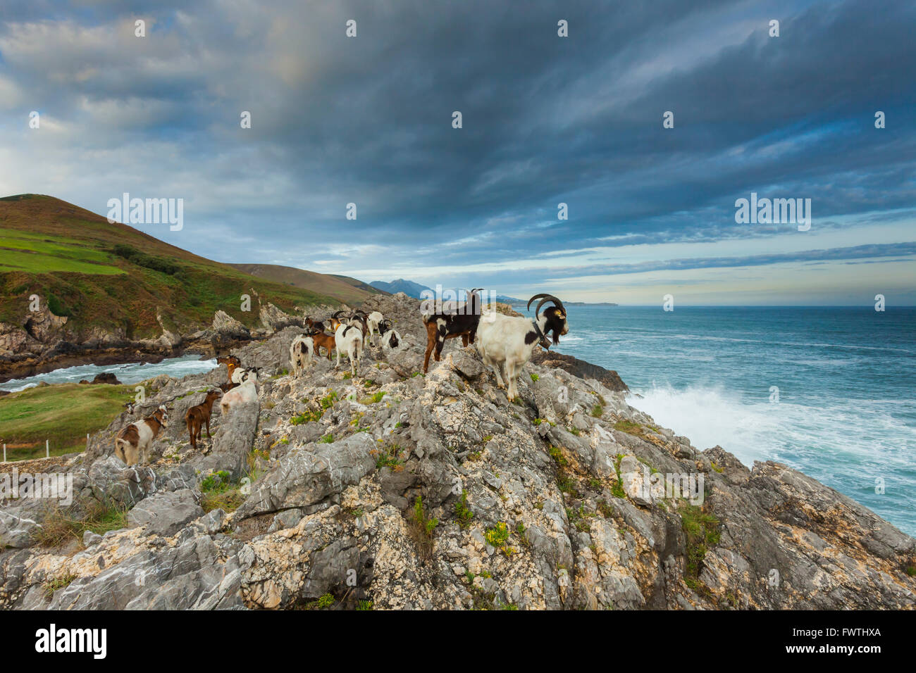 Asturias coast near Llanes, Asturias, Spain. Stock Photo