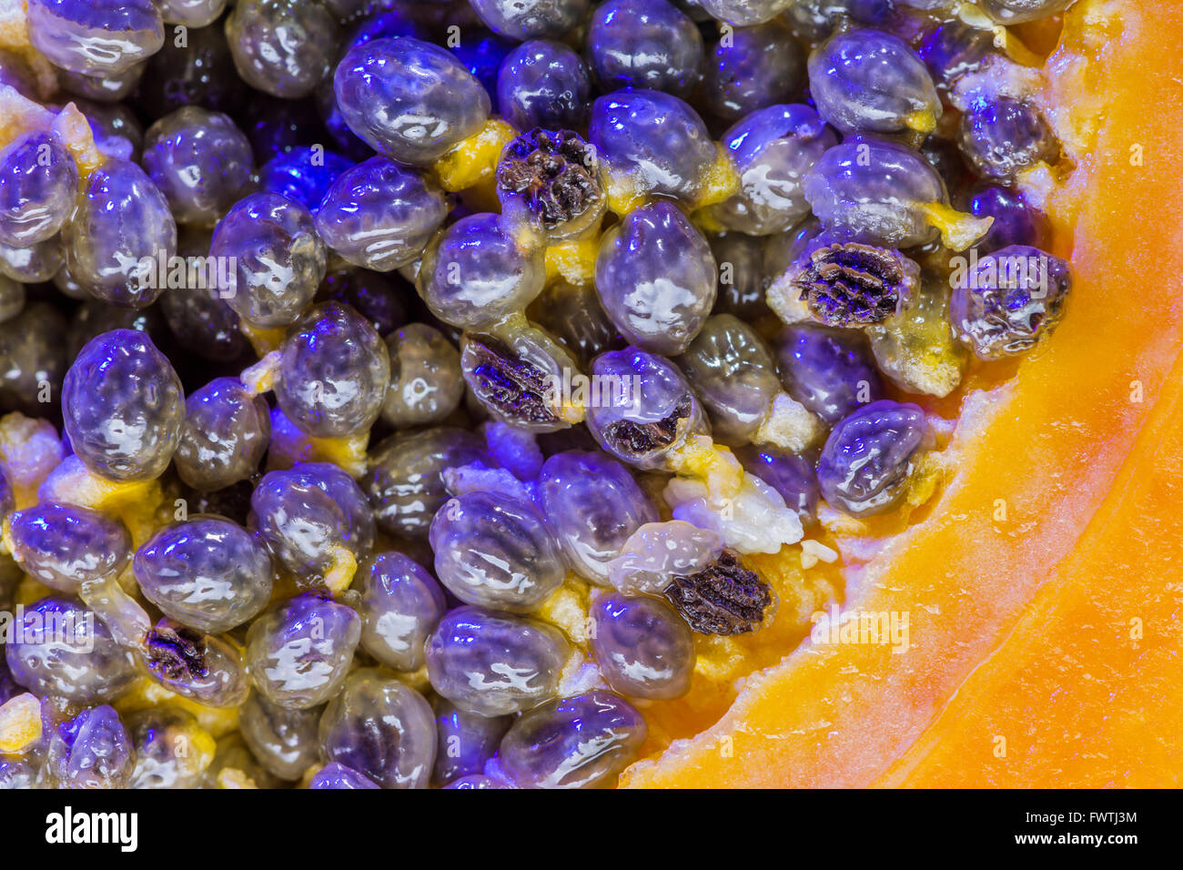 Tropical Papaya fruit from Maui, Hawaii Stock Photo Alamy