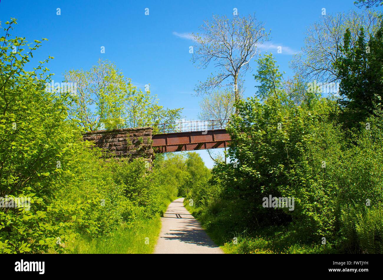 Stainmore Railway disused railway trackbed, Smardale Gill National Nature Reserve, Eden Valley, Cumbria, England, United Kingdom Stock Photo